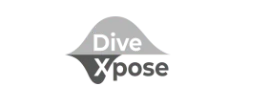 image of portfolio logo